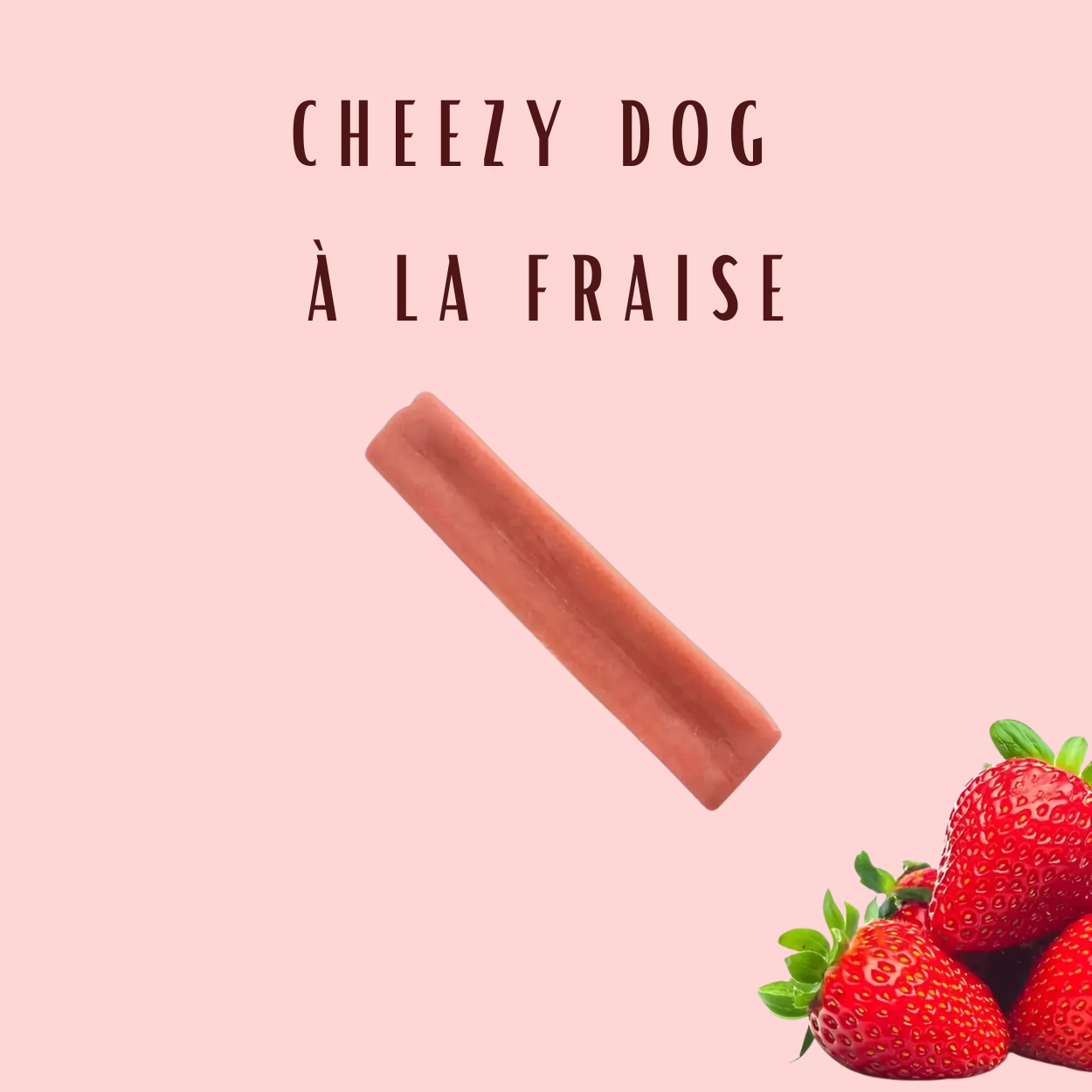 Cheezy dog