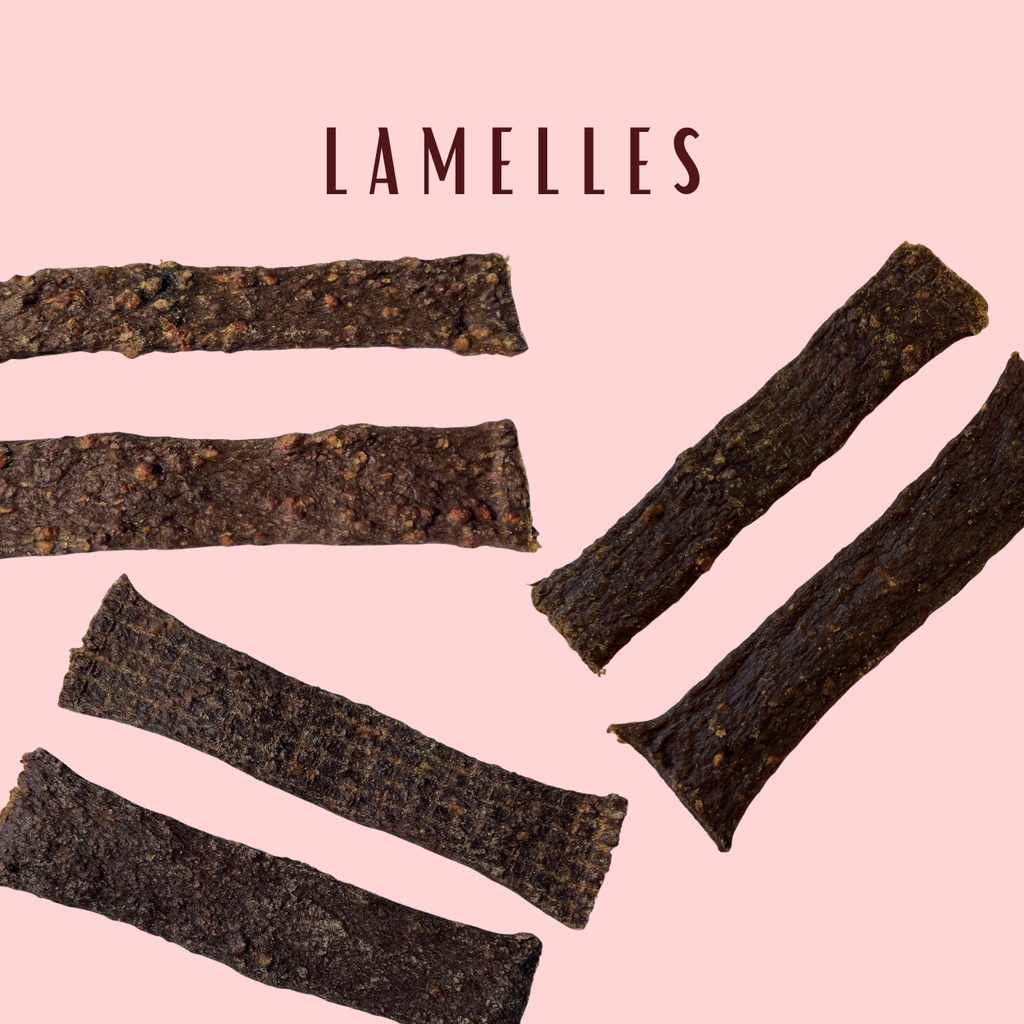 Lamelles