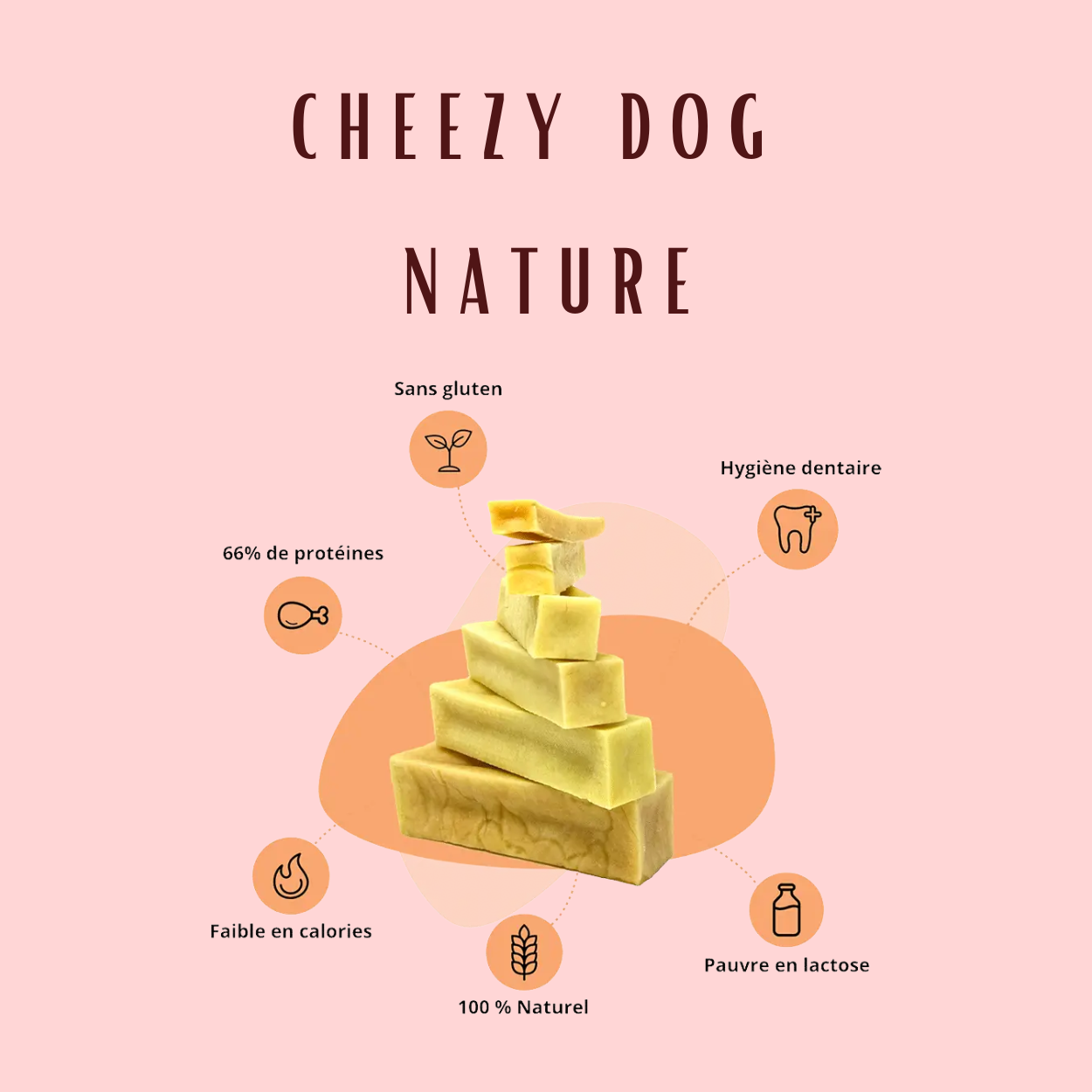 Cheezy dog