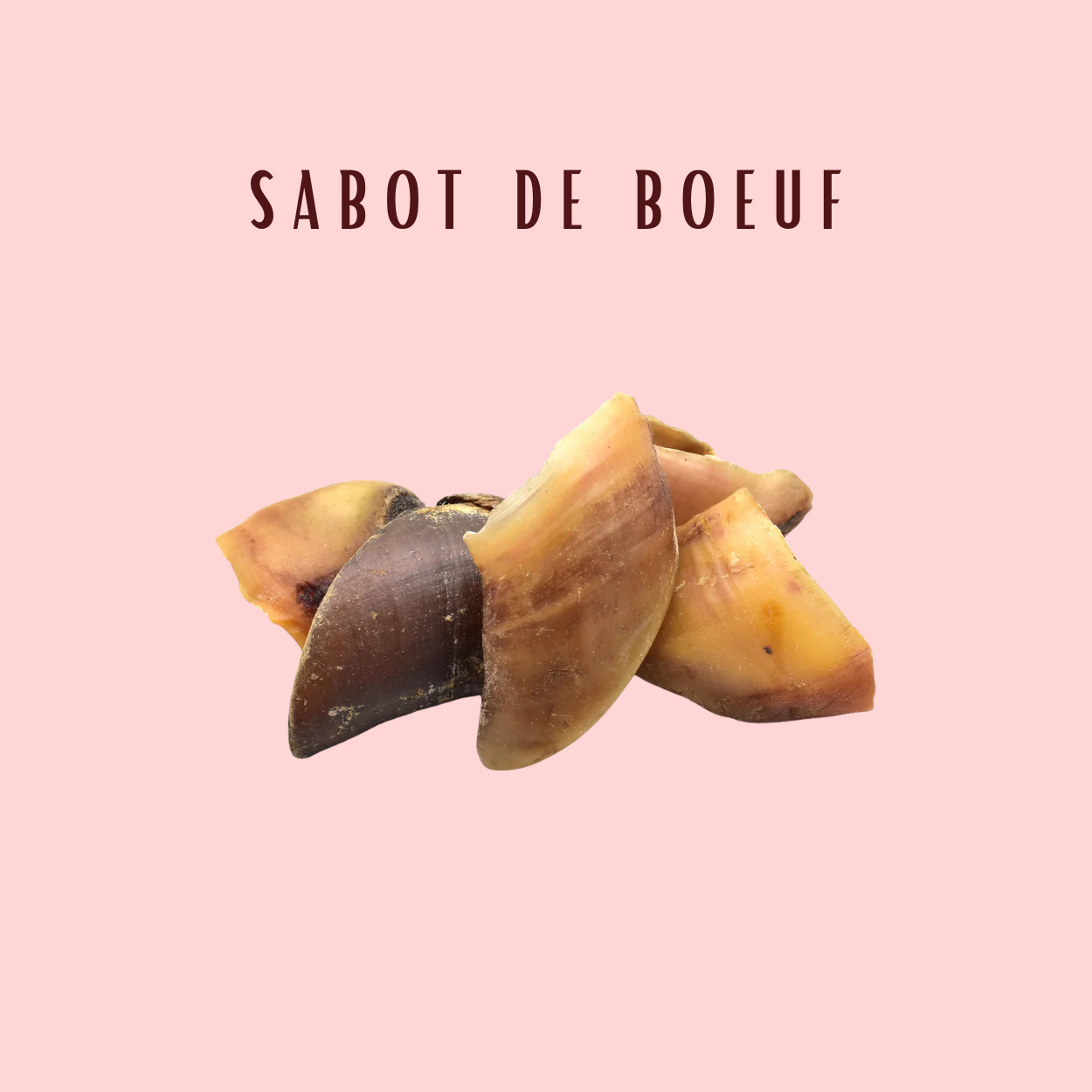 Sabot De Boeuf