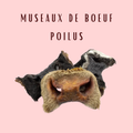 Museaux de bœuf avec poils