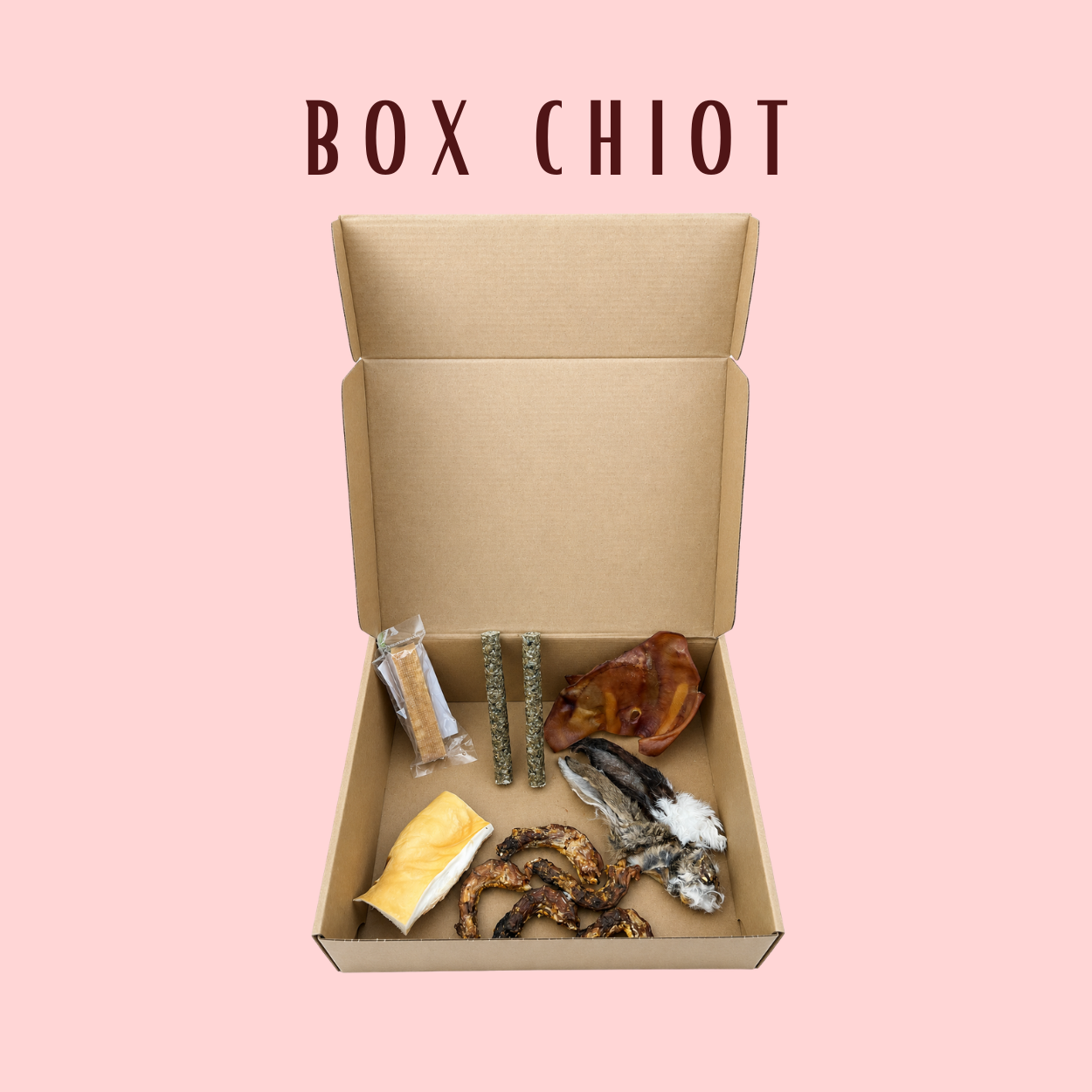 Box chiot