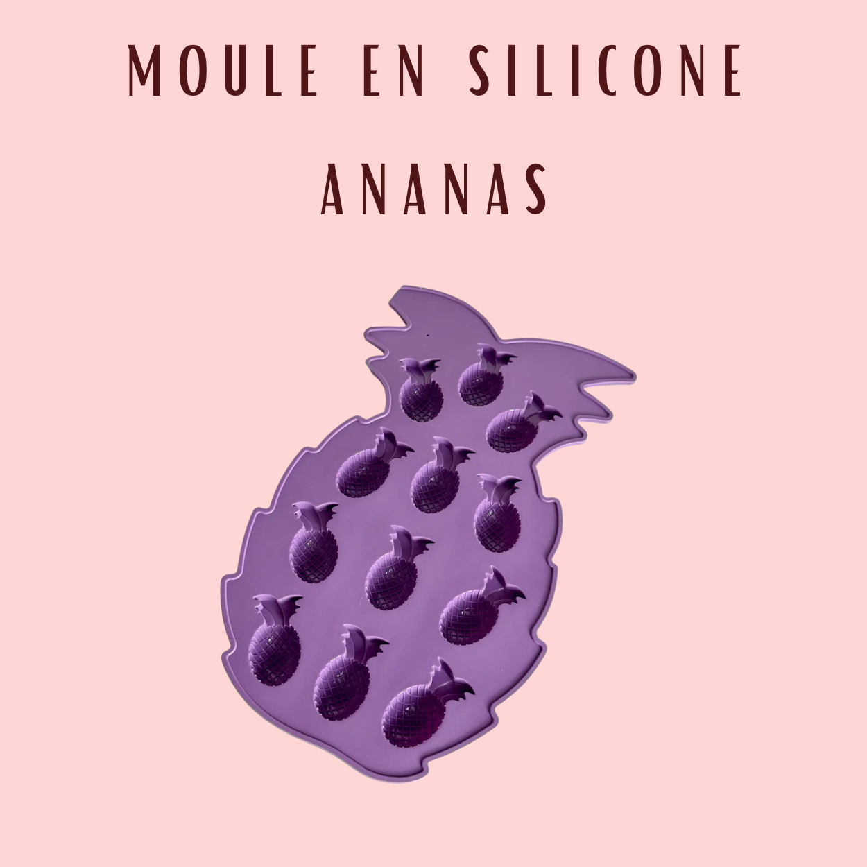Moules à Glaçon