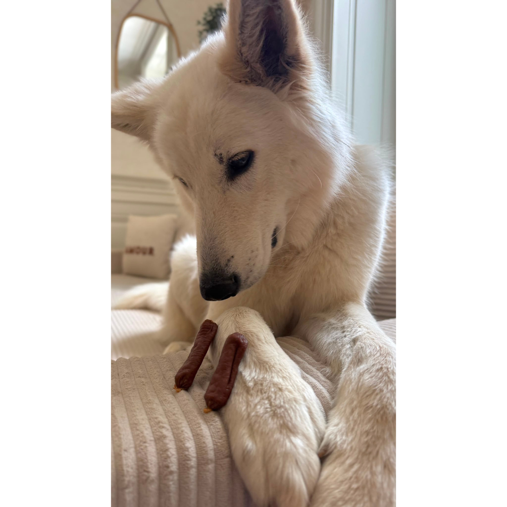 Saucisses