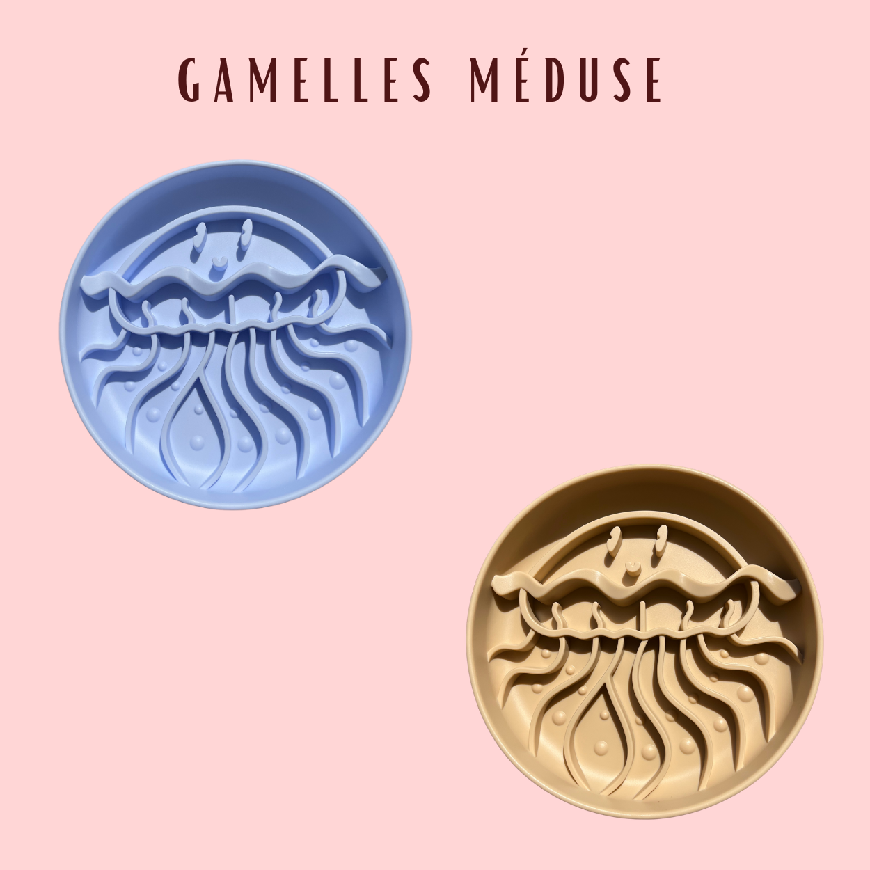 Gamelle Méduse