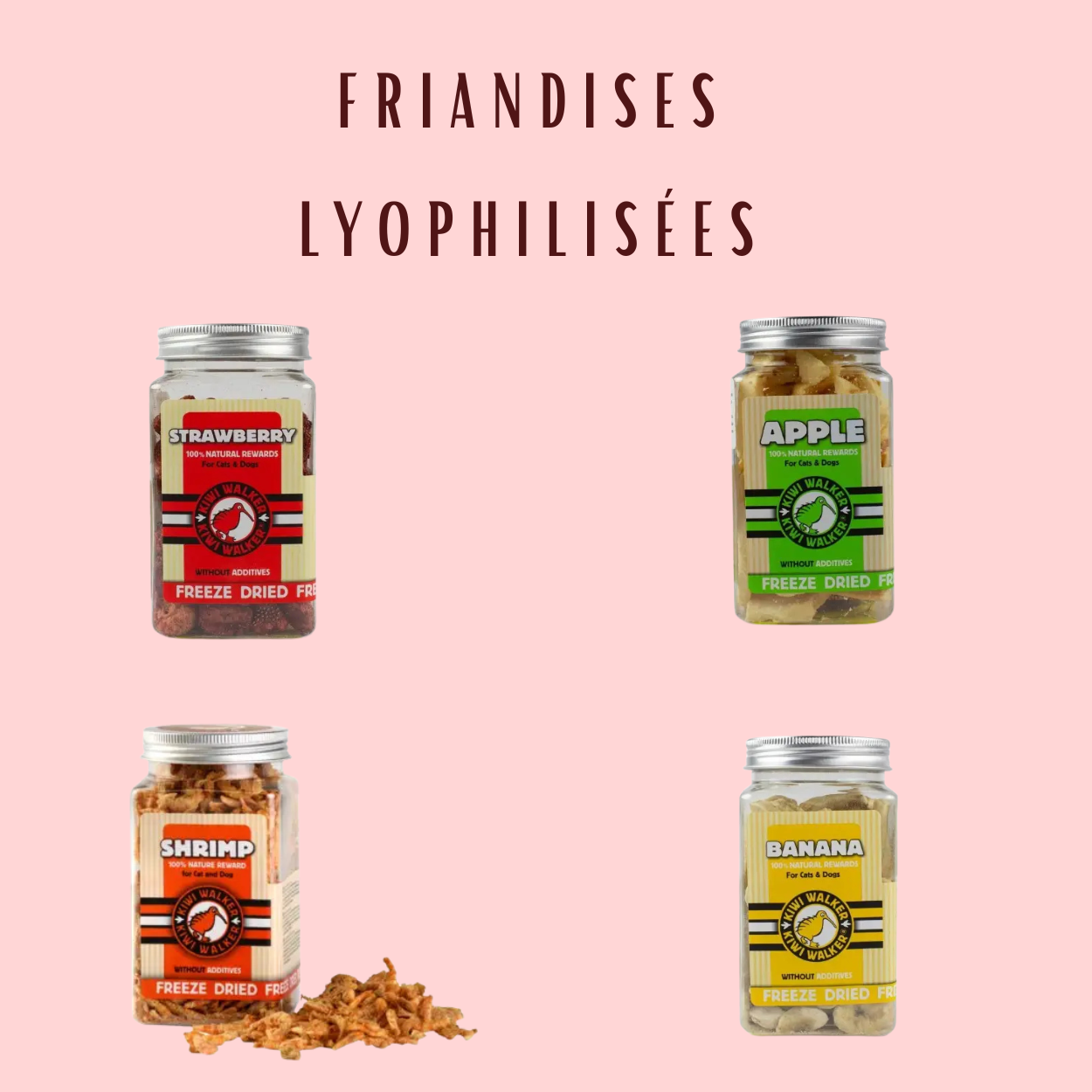 Friandises Lyophilisées Kiwi Walker