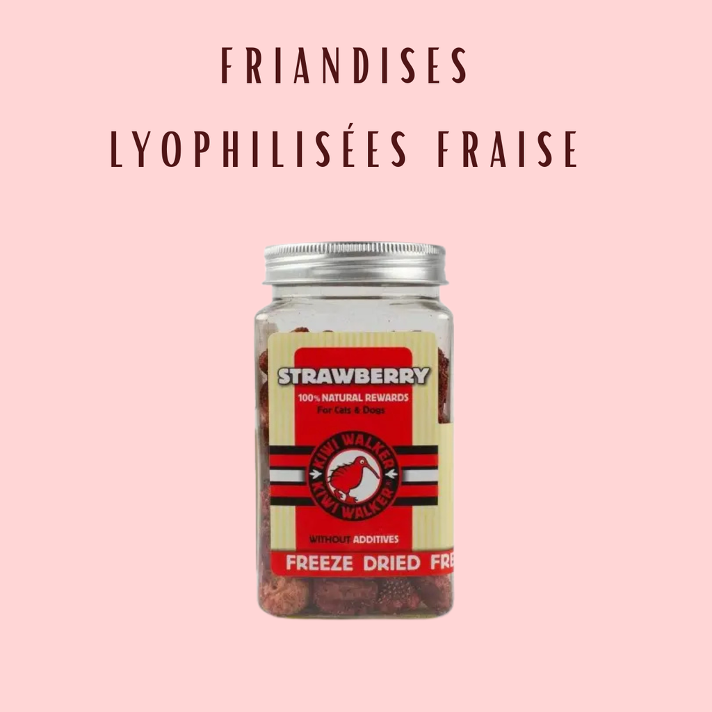 Friandises Lyophilisées Kiwi Walker