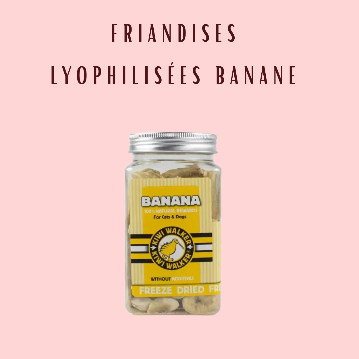 Friandises Lyophilisées Kiwi Walker