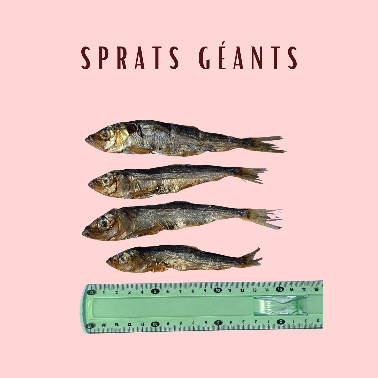 Sprats Géants