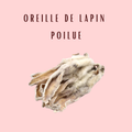 Oreilles de Lapin avec poils