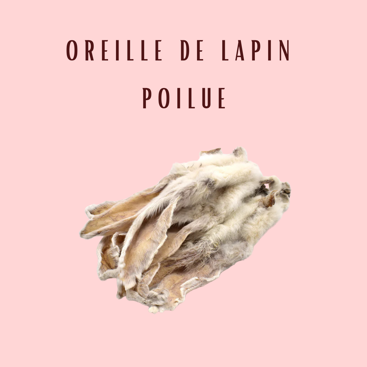 Oreilles de Lapin avec poils