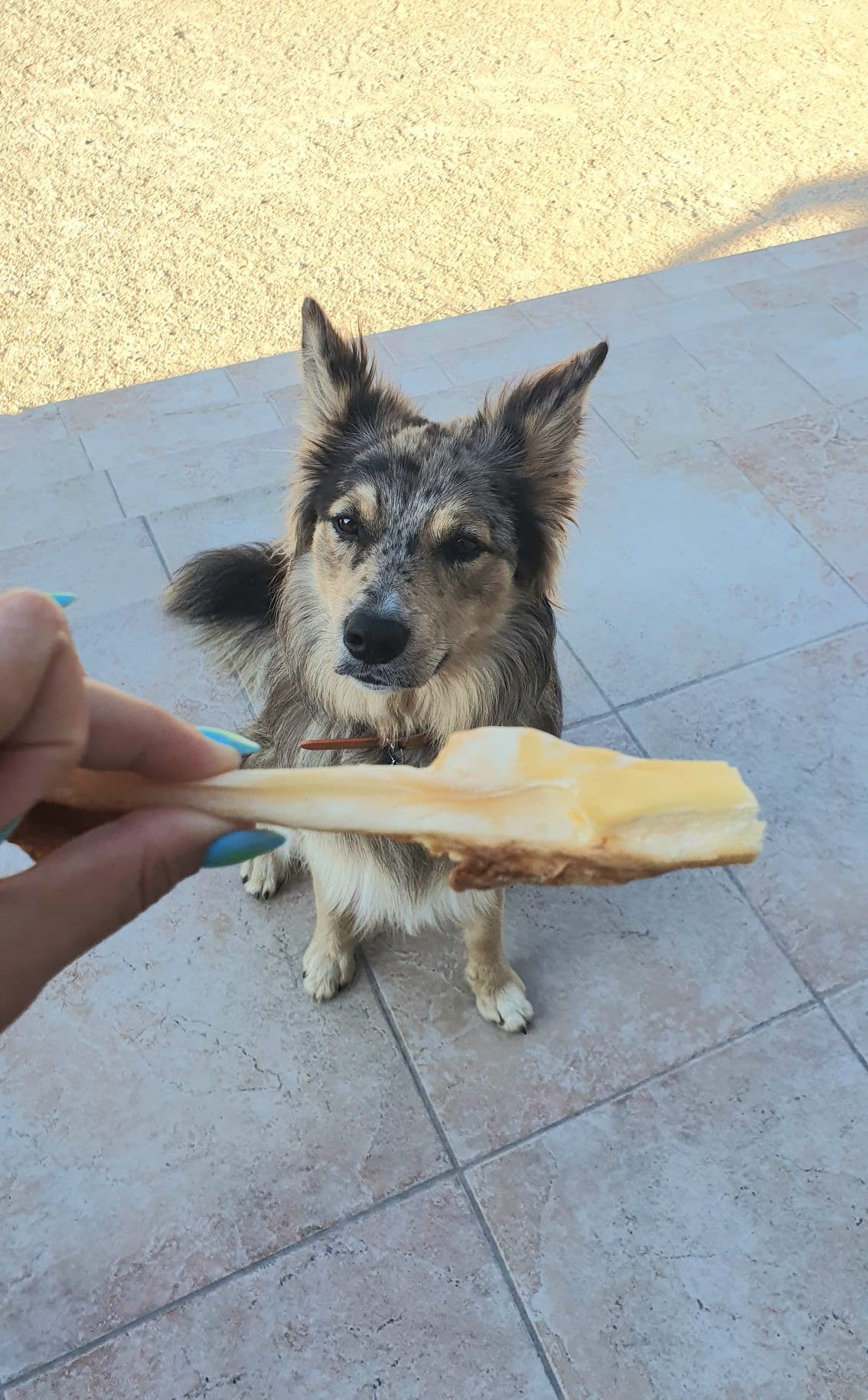 Peau De Bœuf