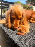 Saucisses